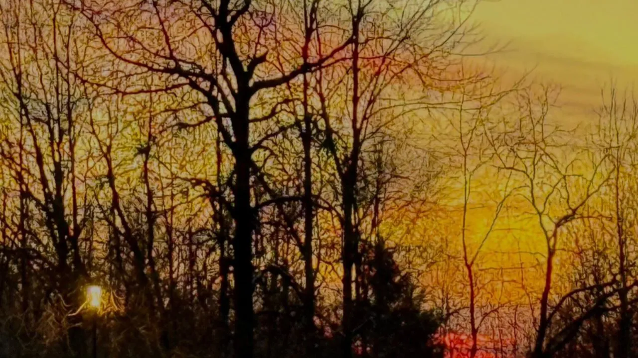 Фото: REGIONS/Анастасия Широкая