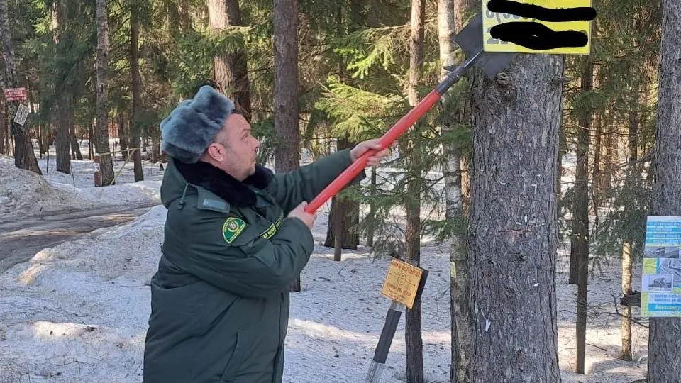 Фото: Комитет лесного хозяйства Подмосковья