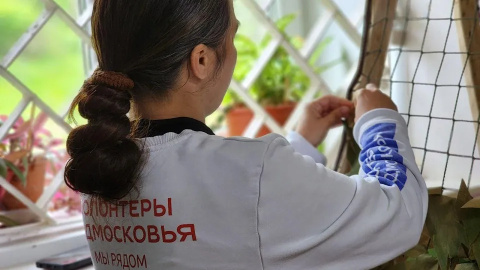 Фото: администрация г.о. Воскресенск