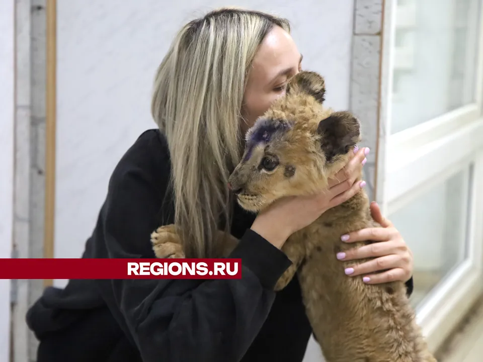 Фото: REGIONS/Ольга Пятикрестовская