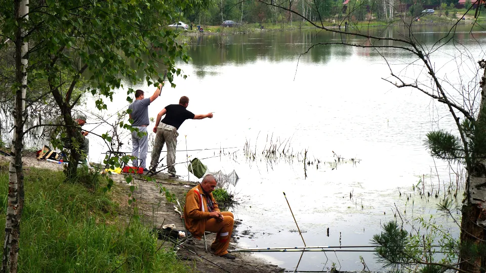 Фото: Медиаархив Подмосковья