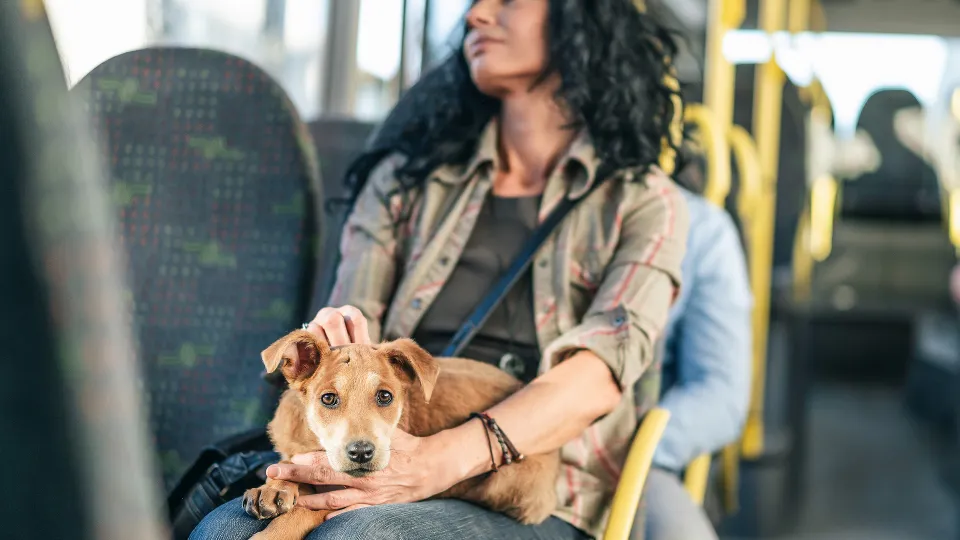 Фото: istockphoto.com/valentinrussanov