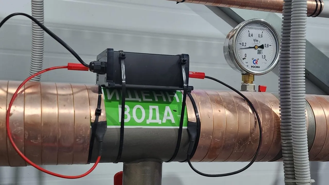 МедиаБанк Подмосковья/Екатерина Морозова