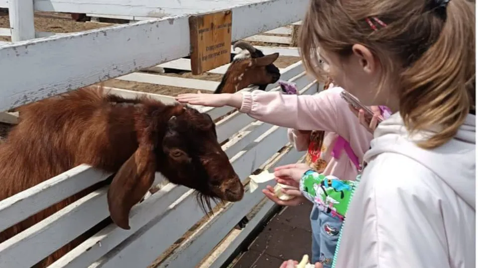 Фото: пресс-служба администрации г.о. Лыткарино