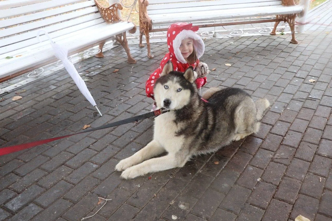 Источник: пресс-служба администрации городского округа Павловский Посад