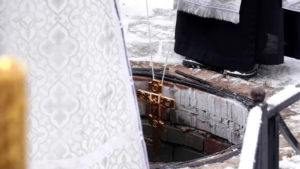 Фото: МедиаБанк Подмосковья/Дарья Леонова