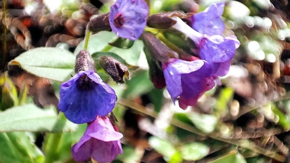 Фото: Екатерина Белякова