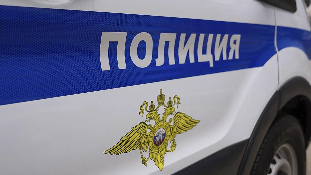 Пять килограммов наркотиков нашли полицейские в лесу Домодедово