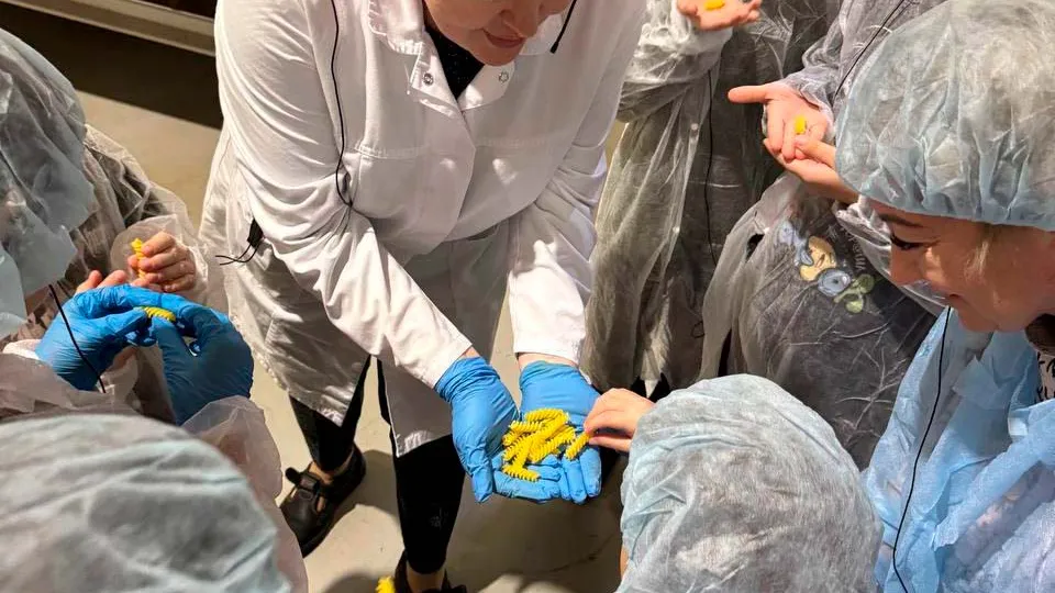 Фото: администрация г. о. Солнечногорск