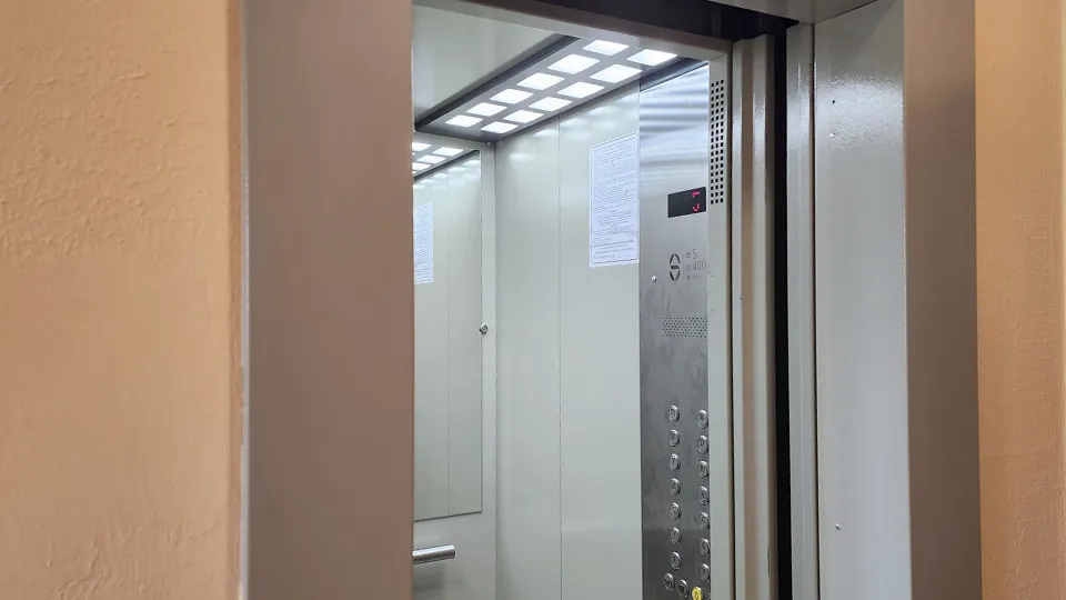 Фото: МедиаБанк Подмосковья/Роман Савельев