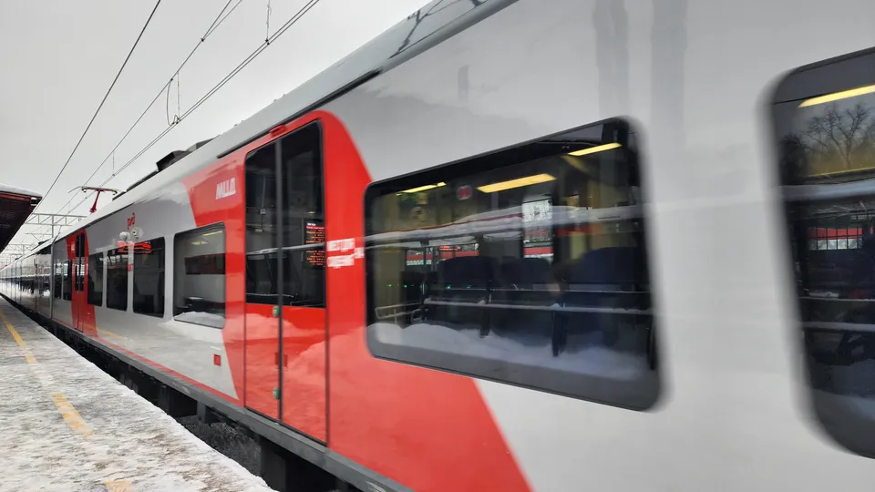 Фото: МедиаБанк Подмосковья/Дарья Савинова