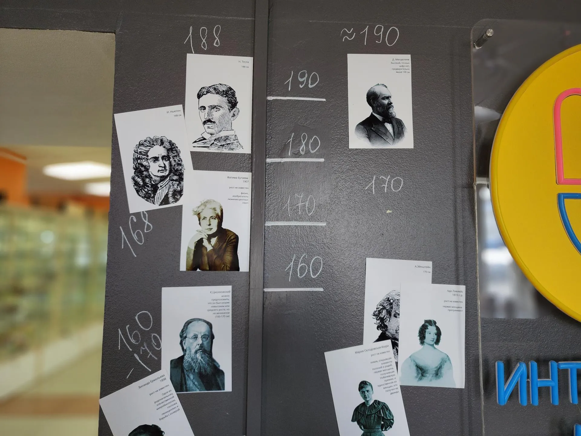 REGIONS/Елена Шумакова