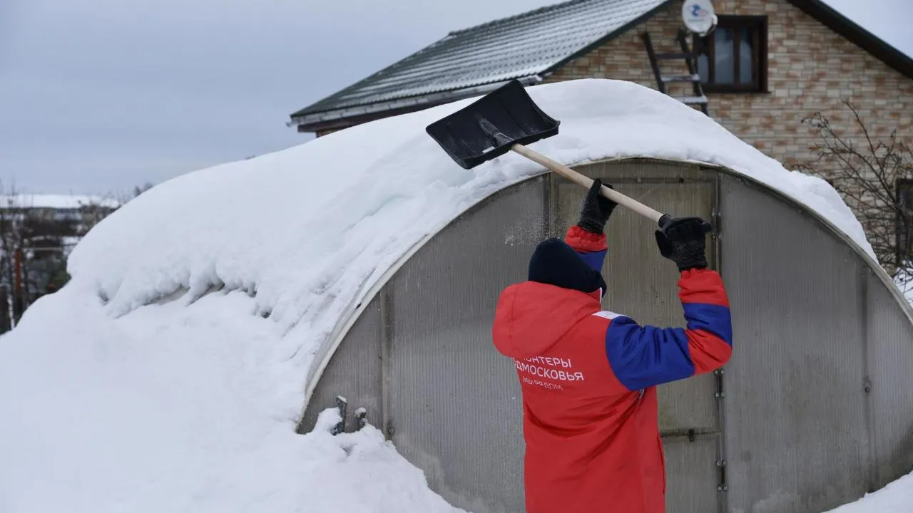 Владимир Останин