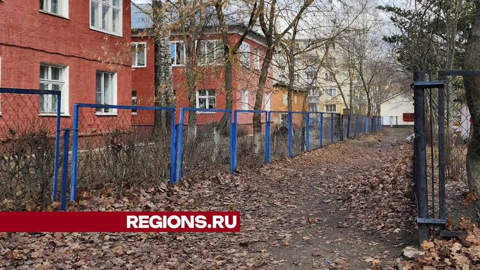 Фото: Валерия Тингаева