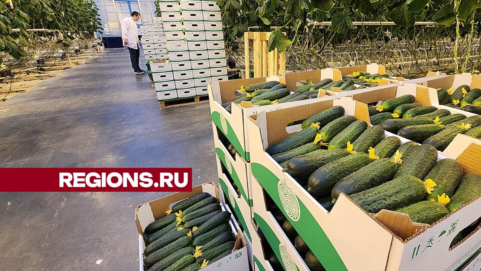 Фото: Нина Басистая