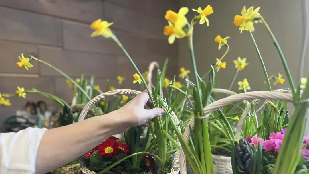 Анна Тюрюмина