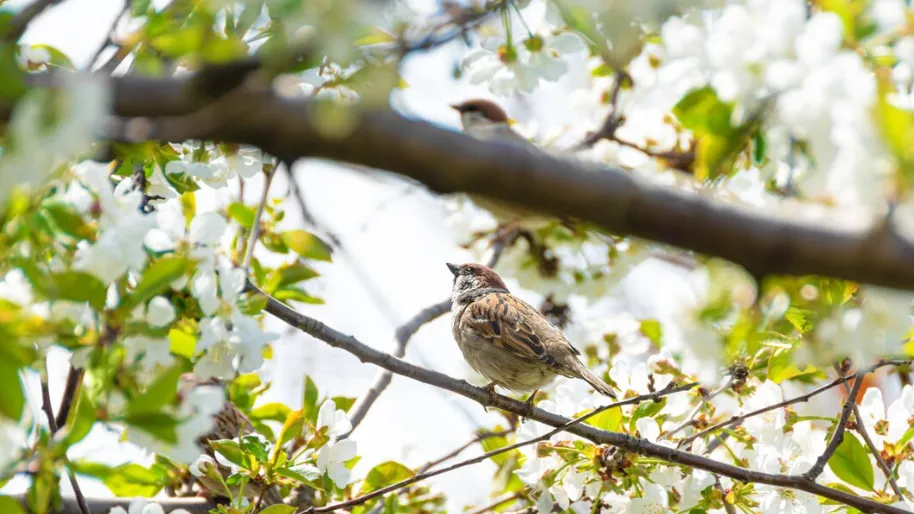 Фото: freepik.com