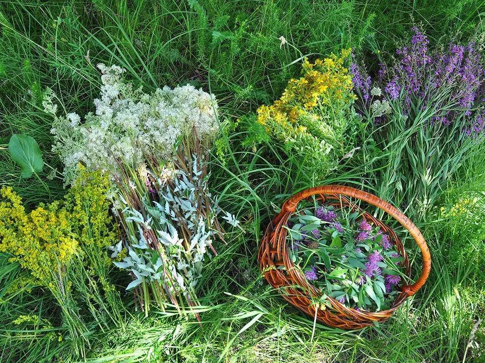 Фото: istockphoto.com