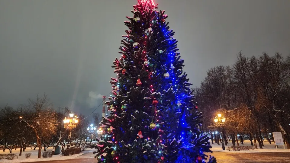 Фото: Дмитрий Алексеенко