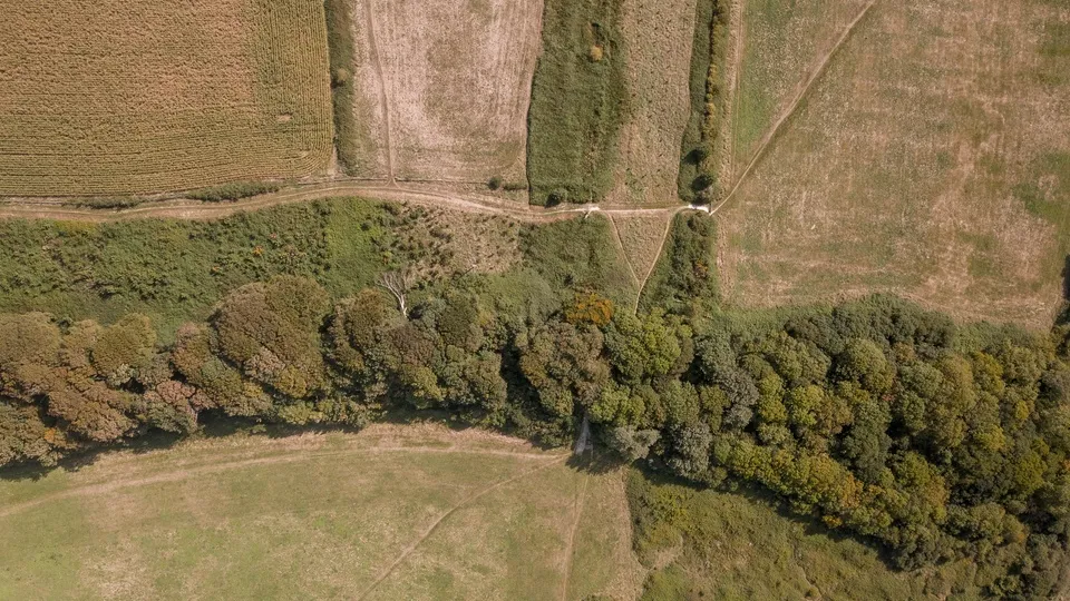 Фото: freepik.com