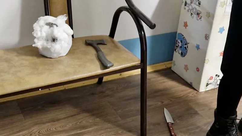 Школьнице, напавшей на сверстников с ножом и топором, может грозить принудительное лечение