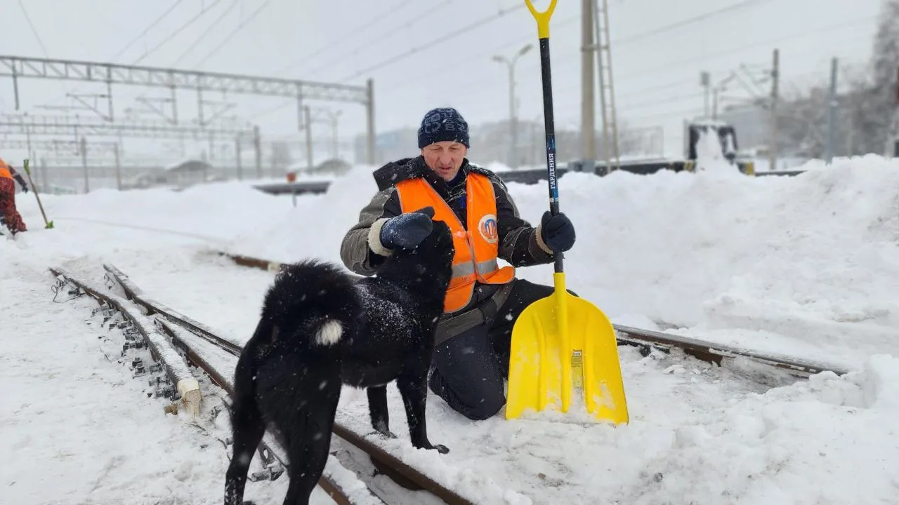 МедиаБанк Подмосковья/Валентина Максимова