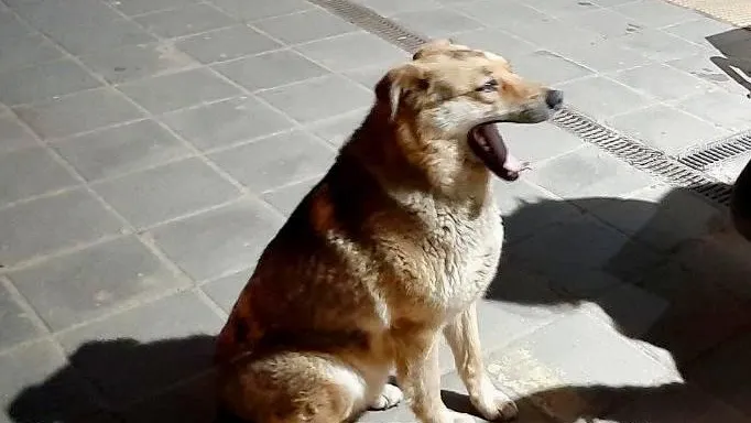 Фото: соцсети