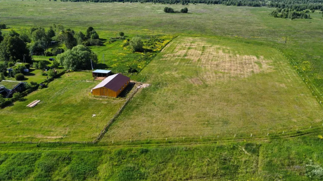 Комитет по конкурентной политике Московской области