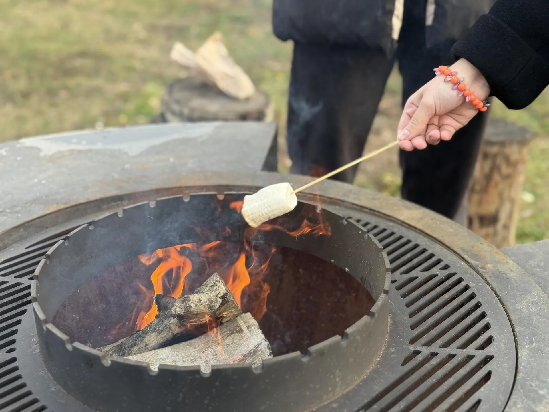 Фото: МедиаБанк Подмосковья/Ольга Стаферова