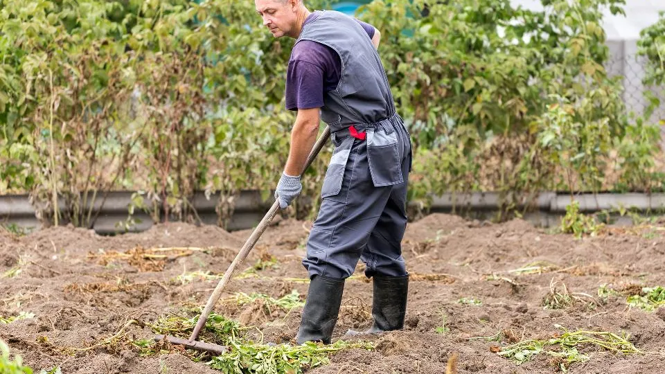 Фото: istockphoto.com/Evgeny Tkachev