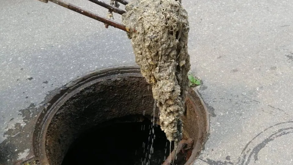 Фото: пресс-служба администрации г.о. Домодедово