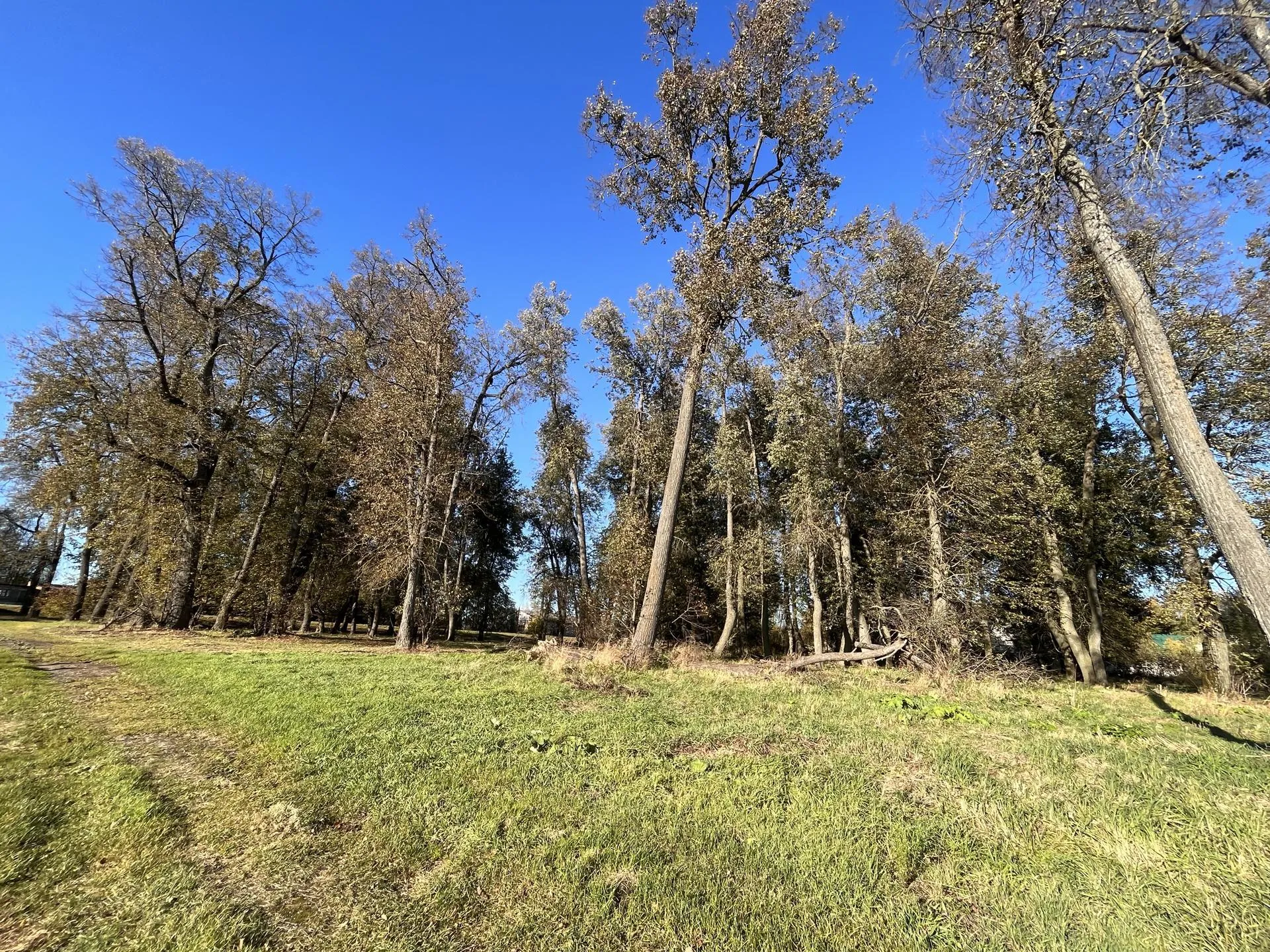 Фото: Татьяна Рунова