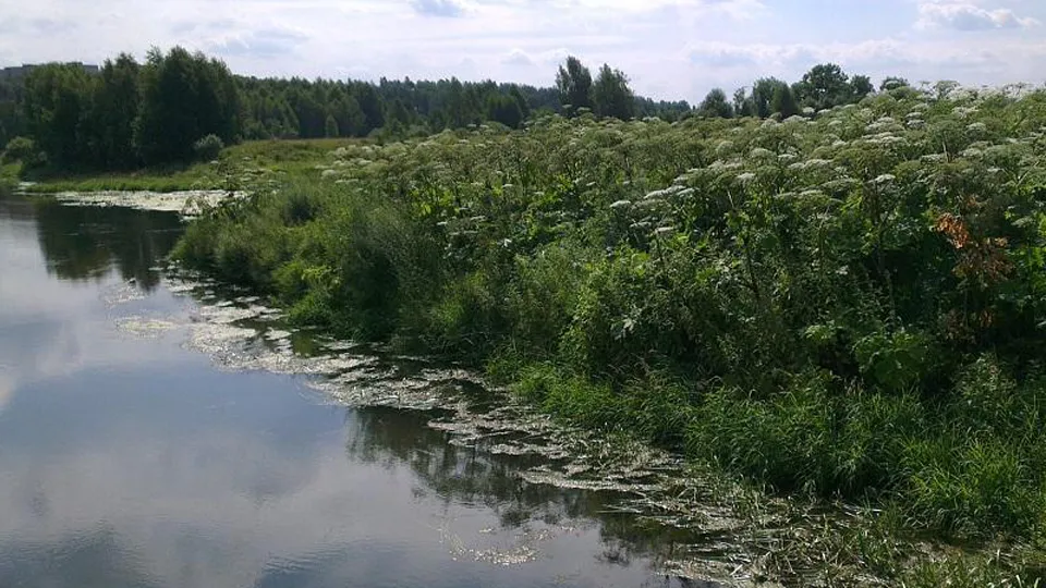 Фото: Министерство экологии МО