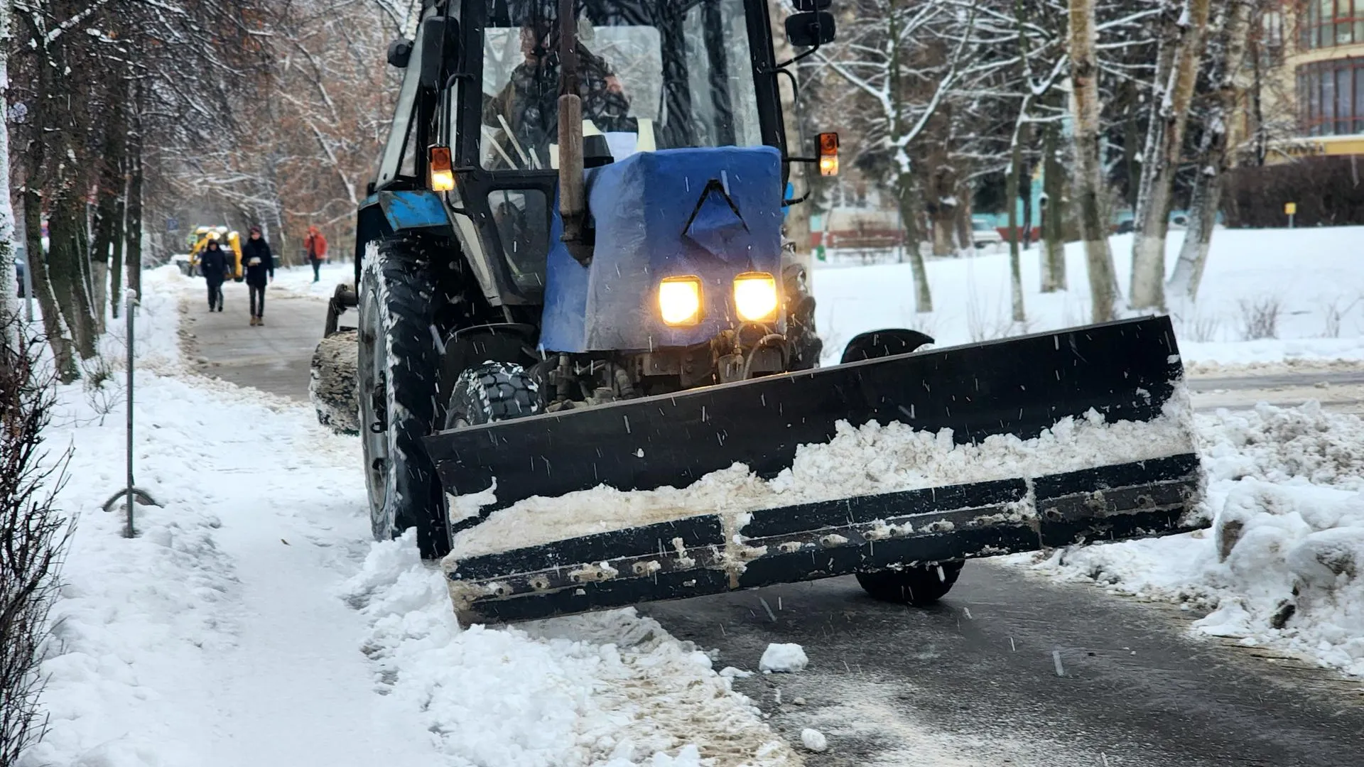 Фото: Мария Овчинникова