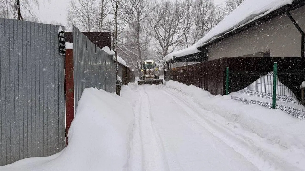 t.me/artsuvorov_live