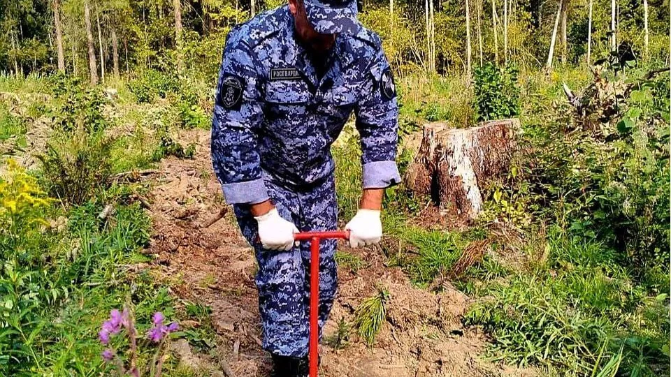 Фото: Химкинский ОВО