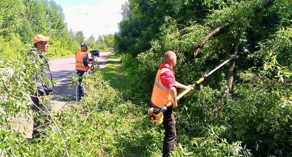 Еще 2 тысячи придорожных деревьев привели в порядок в Подмосковье