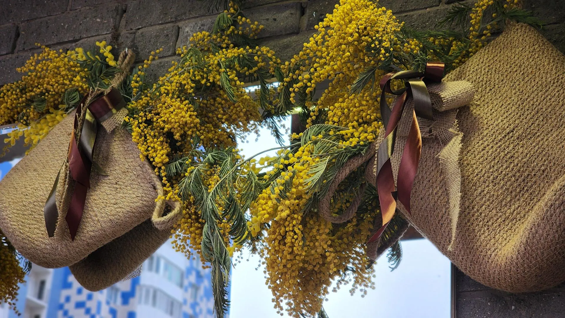 МедиаБанк Подмосковья/Валерия Тингаева