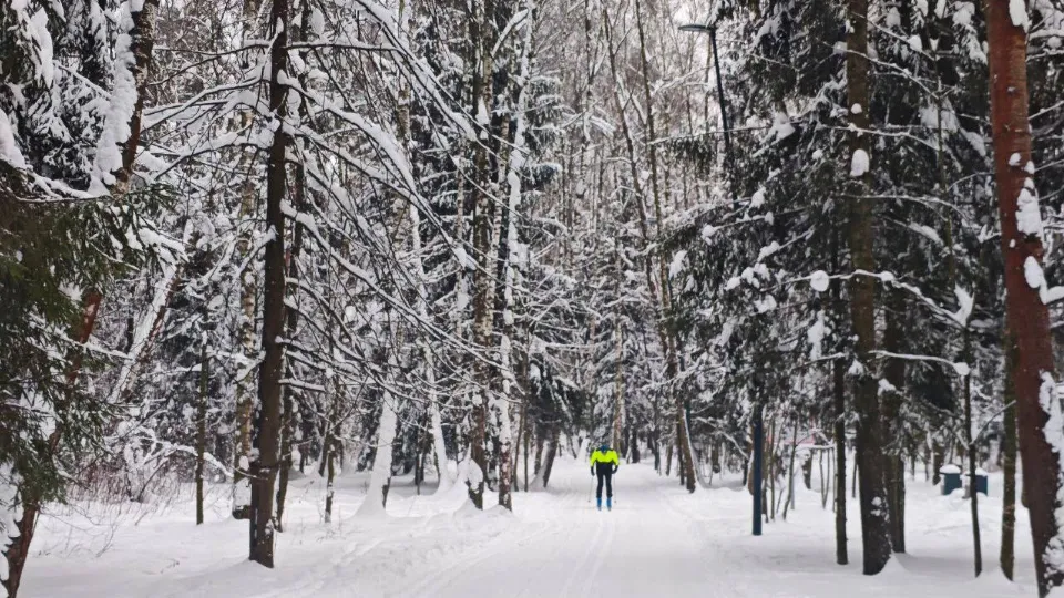 Фото: t.me/ParkiBalashihi