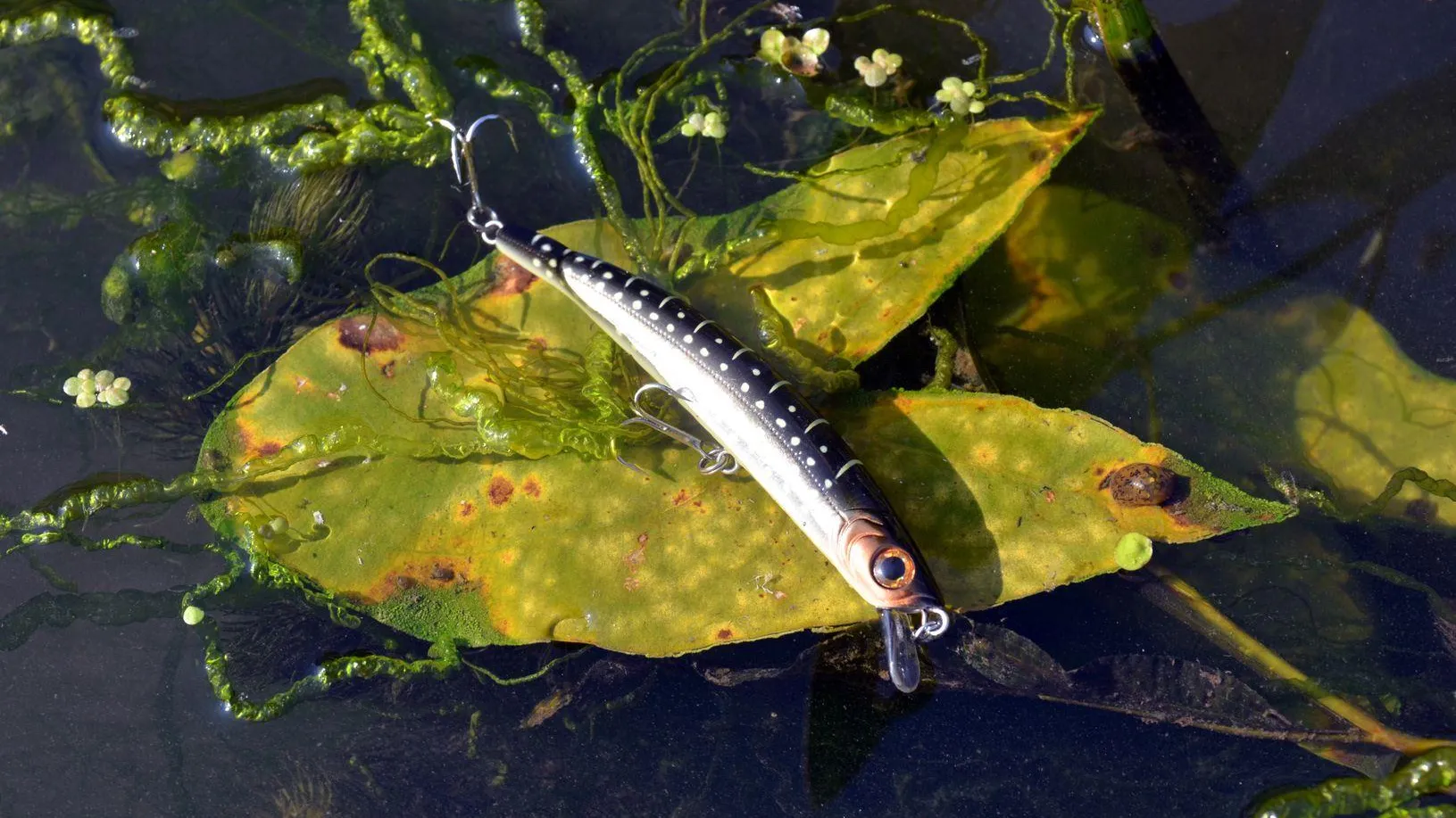 медиасток.рф