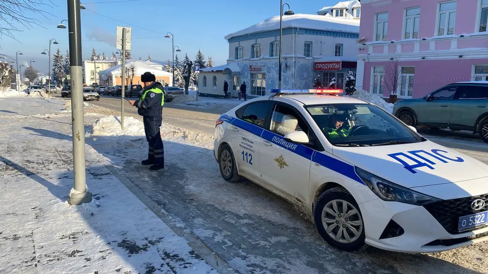 Фото: пресс-служба городского округа Кашира