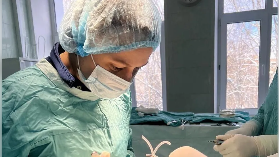 Фото: Домодедовская больница