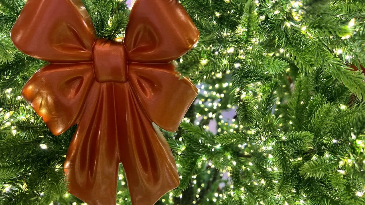 Фото: REGIONS/Елена Фурман