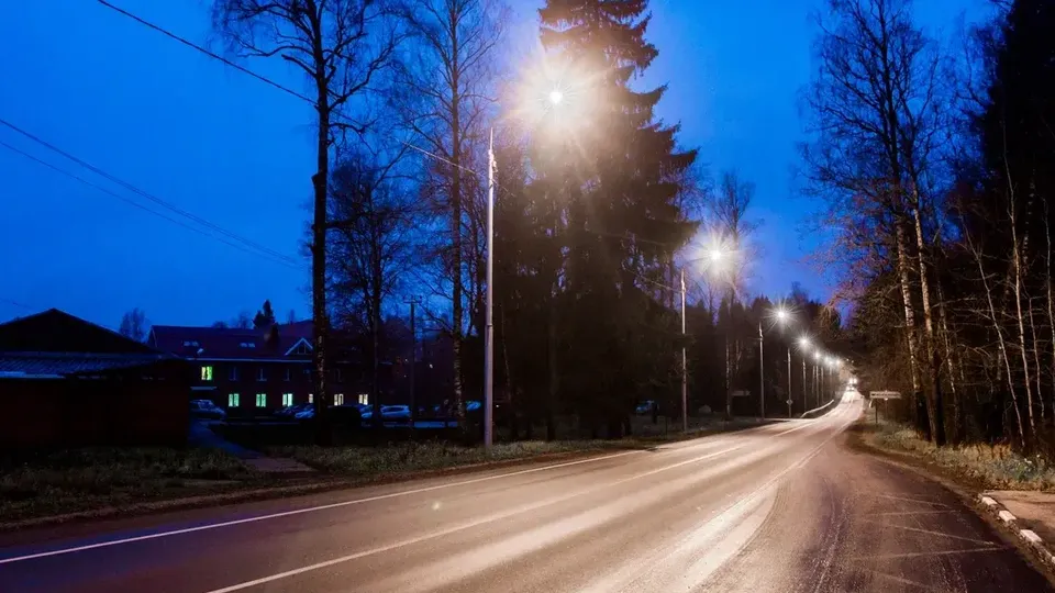 Фото: Министерство благоустройства Московской области