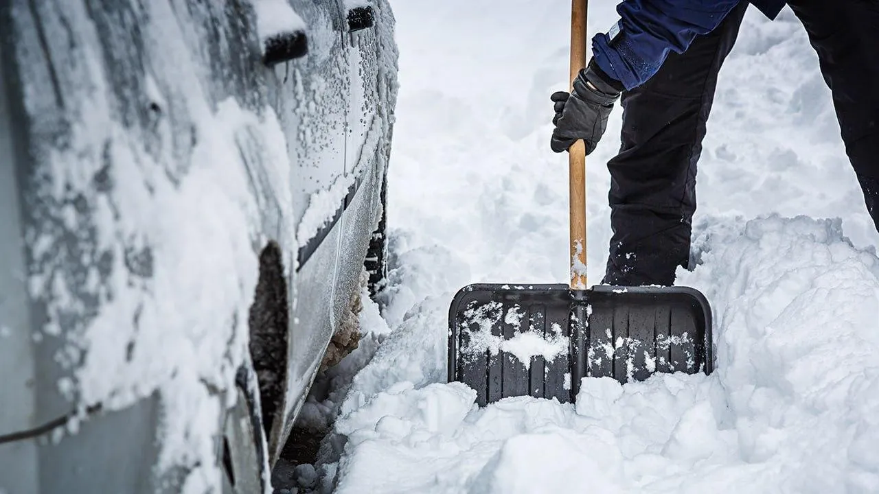 istockphoto.com/mbbirdy