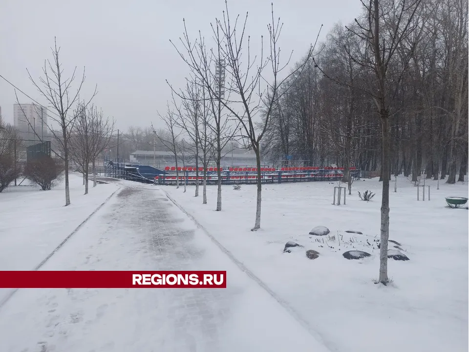 Фото: REGIONS/Ольга Пятикрестовская