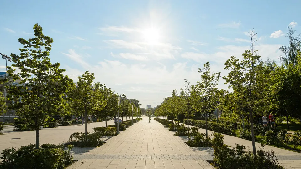 Фото: Медиаархив Подмосковья