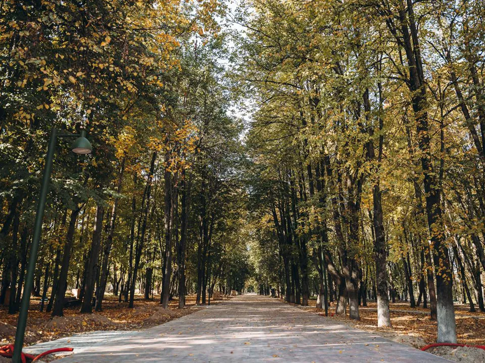 Фото: пресс-служба администрации г.о. Щелково