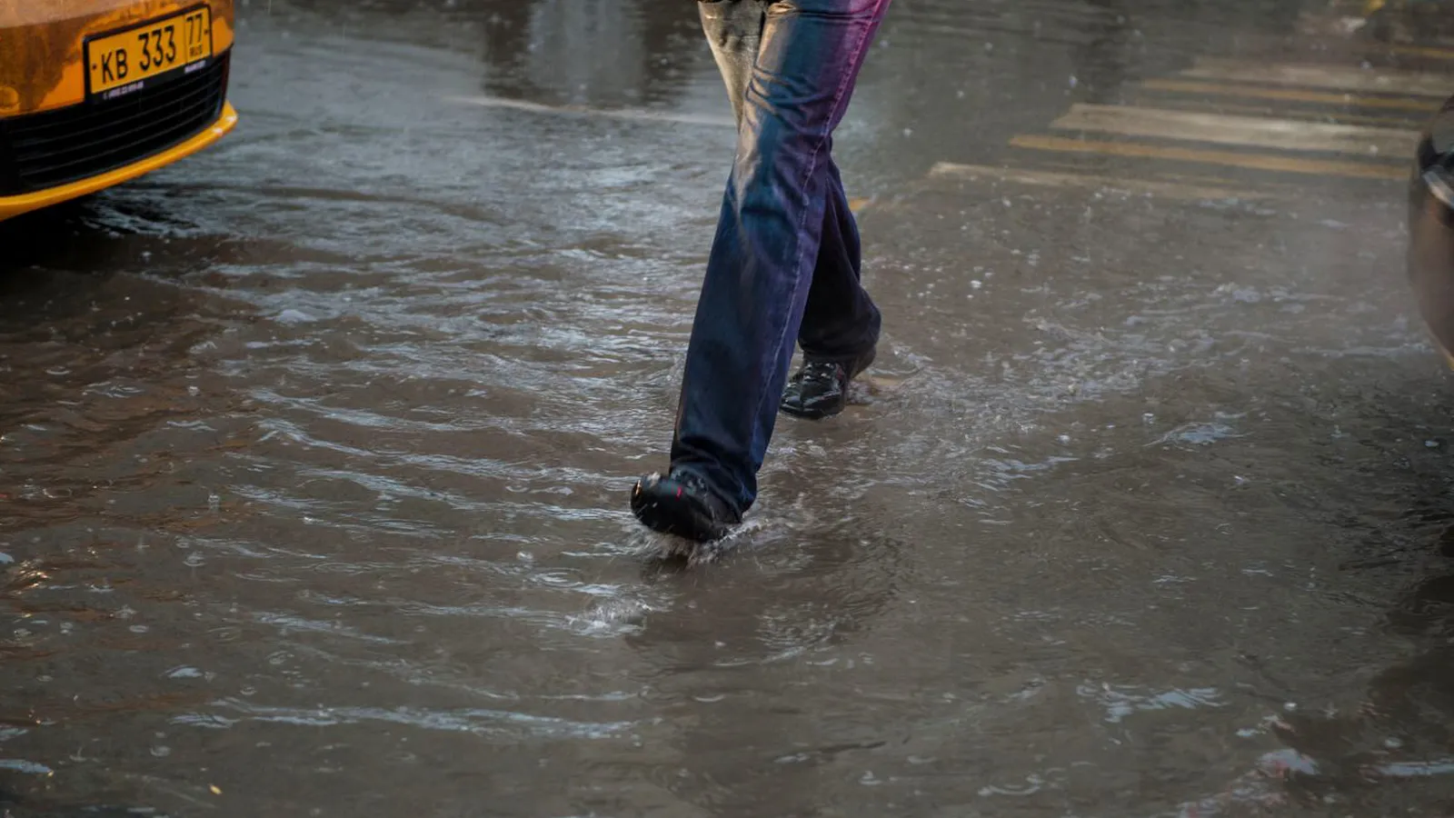 Фото: медиасток.рф