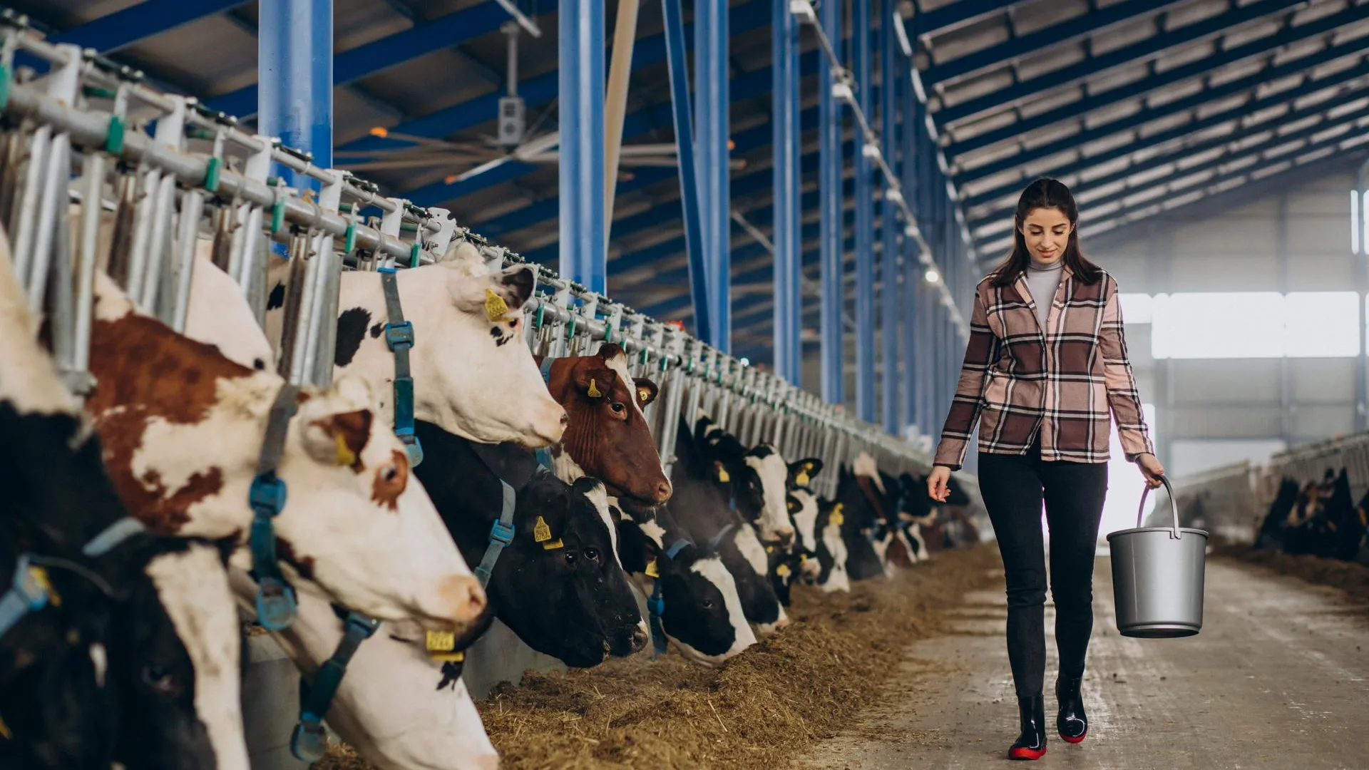 медиасток.рф